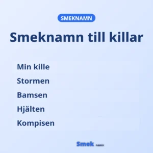 Smeknamn till killar: Min kille, Stormen, Bamsen, Hjälten och Kompisen